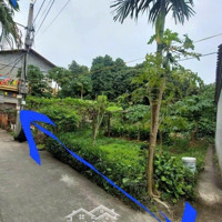 Đại Áng - Thanh Trì - Ô Tô Tránh Vào Đất 130 Triệu/Mét Vuông Full Thổ Cư, Giá Đầu Tư, Có Thể Chia