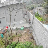 Hot Lắm Mới Có Ạ. Nhanh Tay Còn. Diện Tích: 700M2 Có 400M2 Thổ Cư. Sẵn Nhà Mái Bằng Đẹp Long Lanh
