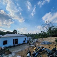 Hot Lắm Mới Có Ạ. Nhanh Tay Còn. Diện Tích: 700M2 Có 400M2 Thổ Cư. Sẵn Nhà Mái Bằng Đẹp Long Lanh