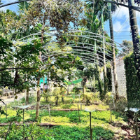 Cho Thuê Villa Sân Vườn 500M 4 Phòng Ngủ Đầy Đủ Nội Thất Mặt Tiền Ymoal Thành Phố Buôn Ma Thuộ Gi