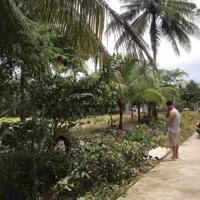 Nhà Đất Chính Chủ, Diện Tích 675 m² - Cơ Hội Vàng Cho Gia Đình Bạn!