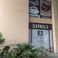 Cho thuê căn góc shophouse Safira, 500m2 1 trệt 1 lầu, nhà thô thuận tiện thiết kế theo mô hình K/D, Lh: 0388668882 gặp Tâm ( zalo )