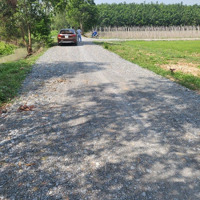 Bán Lô Đất Đường Bà Thiên, Nhuận Đức, Củ Chi Liên Hệ: 0968111039
