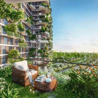 Ra Mắt Căn Hộ Nấm Home Retreat Giá Hấp Dẫn, Nhận Booking Ưu Tiên Ráp Căn Sớm