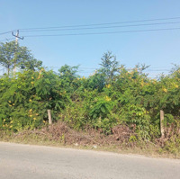 Bán Đất Hẻm Oto Đường Xa Lộ Đại Hàn, An Phú Đông, Quận 12, Hồ Chí Minh, Giá Ưu Đãi 25 Tỷ, 439 M2