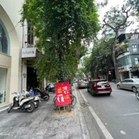 Bán Nhà Độc Quyền Mặt Phố Bà Triệu - Hai Bà Trưng - Kinh Doanh Đẳng Cấp.diện Tích96M2 X 5T.mặt Tiền5.6M