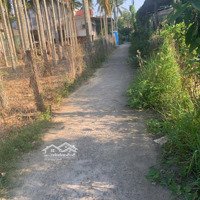 Bán Đất Tại Phường Cẩm Nam, 25 Triệu / M2, 754 M2, Quảng Nam