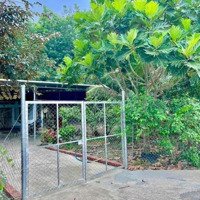 Tôi Cần Ra Đi Gấp Miếng Đất Tại Thị Xã Bình Long, Bình Phước Rộng 112M2