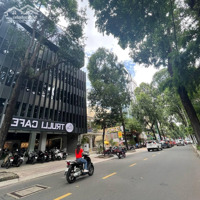 Đất Building Q1 Ngay Trần Hưng Đạo -Cho Thuêhầm 8 Tầng - 13X20M Chỉ 135 Tỷ