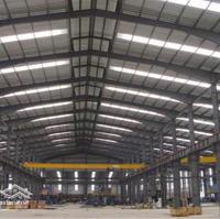 Cho Thuê Kho Xưởng Khu Công Nghiêp Hiêp Phước