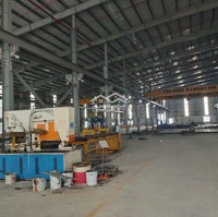 Cho Thuê Kho Xưởng Khu Công Nghiêp Hiêp Phước