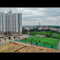 Cần Bán Chung Cư Thu Nhập Thấp, Noxh Ở Thuận Thành Bắc Ninh Đủ Các Diện Tích 54M2, 58M2 Tầng 5, 14