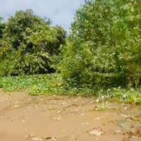 Bán Gấp Ở Lô Đấtmặt Tiềnsông Đồng Nai Biên Hòa,Bến Đò Chùa Châu Đốc 3. 7000M2 Có 1000M2 Tc Giá Bán 46Ty