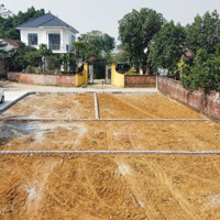 Chính Chủ Bán Lô Đất 100M2 Fun Thổ Cư Tại Yên Thái