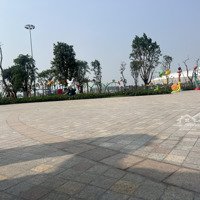 Cập Nhật Quỹ Hàng Chuyển Nhượng Tại Vinhomes Cổ Loa Cho Khách Hàng Đang Tìm