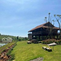 Bán Đất Đẹp Thổ Cư Thôn 7, Lộc Tân, Sắp Sát Nhập Phường 2 Bảo Lộc - Nhà Gỗ, Suối, Ao, Hạ Giá Gấp