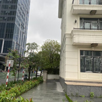 Khu Vực Kim Cương - Tài Phiệt- Victoria Vinhome Golden River - Biệt Thự Song Lập Lô Góc - 390Tỷ