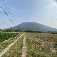 Mua Vàng Thì Lỗ - Mua Thổ Thì Lời Vị Trí Đẹp - Có 1 Không 2