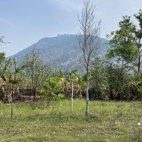 Mua Vàng Thì Lỗ - Mua Thổ Thì Lời Vị Trí Đẹp - Có 1 Không 2