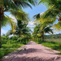 Đất Biệt Thự Ven Sông Tắc Nha Trang Chỉ 28 Triệu/M2 .