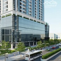 Bán Căn 2 Ngủ 67M2 Ngay Mỗ Lao Hà Đông Full Nội Thất Sổ Đỏ Giá 5, X Tỷ Sổ Hồng Lâu Dài