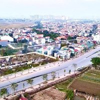 Em Có Ô Này Đẹp Lắm. Giá Lại Hợp Lý. Ace Nào Cần Không Ạ