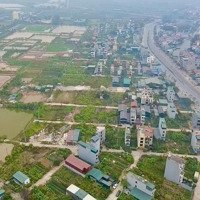 Em Có Ô Này Đẹp Lắm. Giá Lại Hợp Lý. Ace Nào Cần Không Ạ