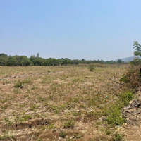 Hơn 8000M2 Cách Trung Tâm Tp Buôn Ma Thuột 8Km Đất Thích Hợp Trông Cf Sâu Riêng Giá Bán 2 Tỷ