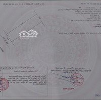 Chính Chủ Cần Bán Đất Đường Trần Minh Tông, Phường Hòa Minh, Quận Liên Chiểu, Đà Nẵng