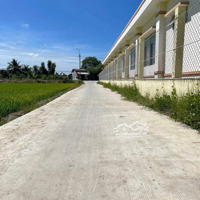 Chính Chủ Cần Bán 1 Lô F0 Xã Nhựt Ninh, Tân Trụ, Long An