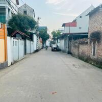  Đại Tảo , Xuân Giang , Sóc Sơn, Hà Nội ( cách đường 131 khoảng 100m  ).