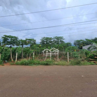 Cần Bán 1.008 M2 (1 Sào) Thổ Cư 970 M2, Đất Hòa Long, Thành Phố Bà Rịa, Giá Bán 7 Tỷ 500 Tr