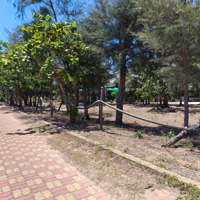 94M2 Full Thổ Cư Hẻm 6M Đường Thạnh Thới, Long Hòa