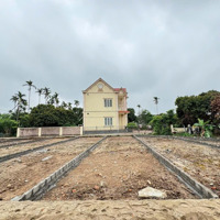 Bán Đất Tại Bát Trang, An Lão, Hải Phòng, 550 Triệu, 60M2 - Giá Siêu Hời Chỉ Với 550 Triệu