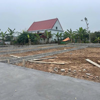 Bán Đất Tại Bát Trang, An Lão, Hải Phòng, 550 Triệu, 60M2 - Giá Siêu Hời Chỉ Với 550 Triệu