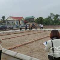 Duy Nhất 3 Lô 60M2 Cạnh Cụm Công Ty Sao Vàng, Thái Sơn, An Lão, Giá Bán 515 Tr Mặt Đường Rộng 5M
