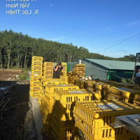 Bán Trang Trại 7000M2 Giá Rẻ Sinh Lời Ngay Khi Mua, Được Giữ Hđ Thuê Lại Trại Gần 200 Triệu/Năm