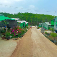 Bán Trang Trại 7000M2 Giá Rẻ Sinh Lời Ngay Khi Mua, Được Giữ Hđ Thuê Lại Trại Gần 200 Triệu/Năm