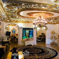 Bán Biệt Thự- Lô Góc- Mỹ Đình 2- 200M, Mt: 15M, 5T, Thang Máy, View Vườn Hoa, Vỉa Hè, Thỏa Thuậ