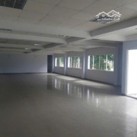 Cho Thuê Nhà Xưởng Mới Trong Kcn Bến Lức, Long An, Gía Thuê Hấp Dẫn