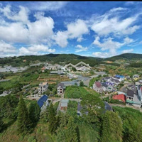Bán Gấp Lô Đất Gần 2500M2 Ngay Cạnh Kqh An Sơn, View Siêu Đẹp 10 Tr/M2