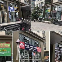Bán Gấp Kiot The Vesta Hà Đông 30M2, Giá Bán 1,3 Tỷ Liên Hệ: 0911460600
