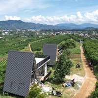 Đất 2 Mặt Tiền Xã Lộc Thanh Bảo Lộc Qui Hoạch Thổ Cư Khu Dân Cư Gần Đôi Dép Resort, Vincom