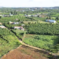 Chính Chủ Bán Chỉ 1,5 Tỷ/1.000M2 Đất Nghỉ Dưỡng View Siêu Đẹp - Bảo Lâm