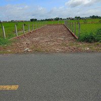 Đất Mặt Tiền Nhựa 8 Mét Thông Đức Hoà Thượng, Gần Kcn. Đất Bằng Phẳng, Xung Quanh Tiện Ích Đầy Đủ