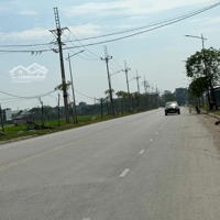 Bán Đất Đấu Giá Xuân Lê - Đại Áng, Dt; 99M/Zá 6,65Tỷ, Siêu Rẻ Cho Nhà Đầu Tư,