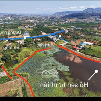 Bán Đất Đông Thanh, Lâm Hà, Lâm Đồng, 599 Triệu, 125 M2 Sẵn 80M Thổ Cư Sẵn Cây Ăn Trái