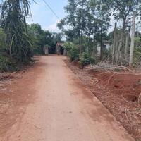 CƠ HỘI ĐẦU TƯ VÀNG GIÁ SIÊU NGỘP. QL 29 XÃ EA DRONG, TX BUÔN HỒ, ĐĂK LĂK