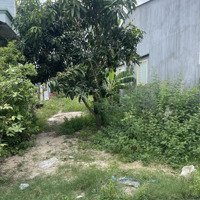 Mảnh Đất 2 Mặc Tiền - Giá Cực Rẻ Gần Tp Tây Ninh