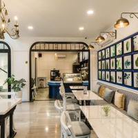 Bán Gấp Buildingmặt Tiềnyên Thế, Tân Bình - 8,5Mx25M - Hầm 7 Tầng - Hđt 258 Triệu - Giảm Sâu Còn 58 Tỷ
